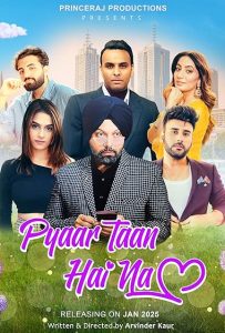 Pyaar Taan Hai Na Poster