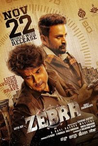 Zebra Poster