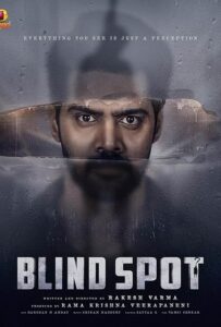 Blind Spot Poster